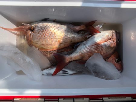 第二八坂丸 釣果