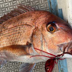 龍神丸(鹿児島) 釣果