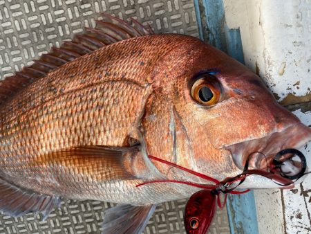 龍神丸(鹿児島) 釣果