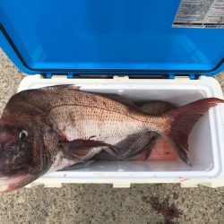 第二八坂丸 釣果