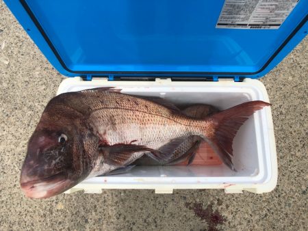 第二八坂丸 釣果