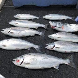 第二　つれたか丸 釣果