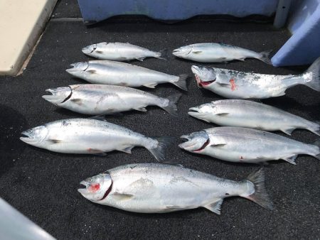 第二　つれたか丸 釣果