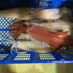 海龍丸（石川） 釣果