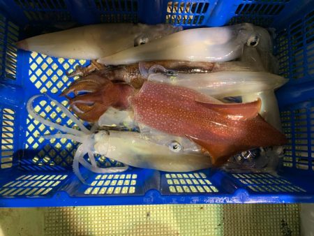 海龍丸（石川） 釣果