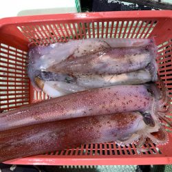 海龍丸（石川） 釣果