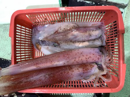 海龍丸（石川） 釣果