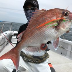 ランスルー 釣果