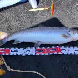 第二　つれたか丸 釣果