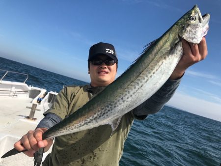 ランスルー 釣果