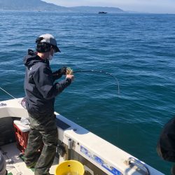 Ｖ−７ West 釣果