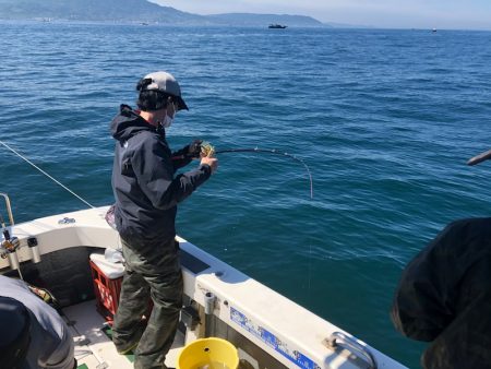 Ｖ−７ West 釣果