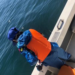 Ｖ−７ West 釣果