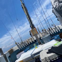 あみや渡船 JIGBOY 釣果