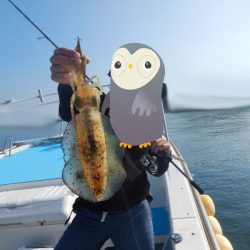 きずなまりん 釣果