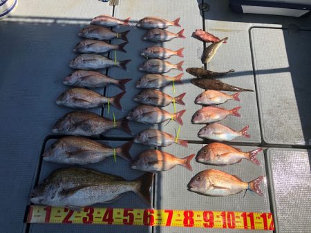 遊漁船高橋 釣果