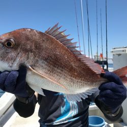 ランスルー 釣果