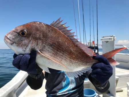ランスルー 釣果