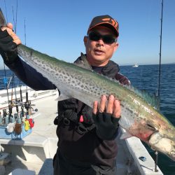 ランスルー 釣果