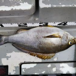 光生丸 釣果