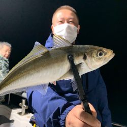 エヌスタイル 釣果