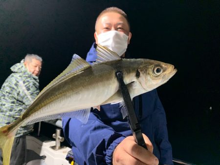 エヌスタイル 釣果