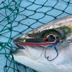 Monster Rush! 釣果