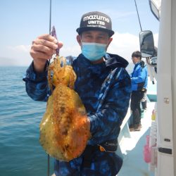 きずなまりん 釣果