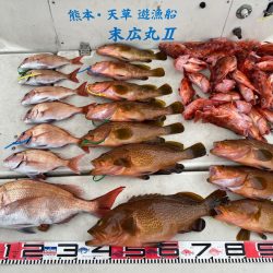 末広丸(熊本) 釣果