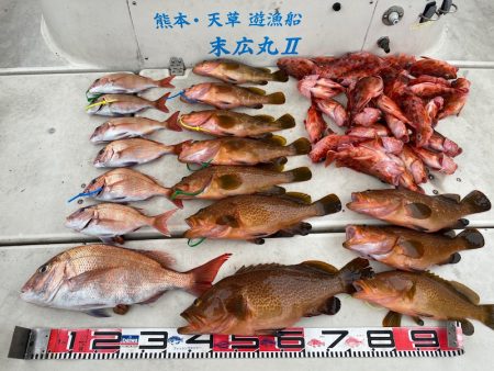 末広丸(熊本) 釣果
