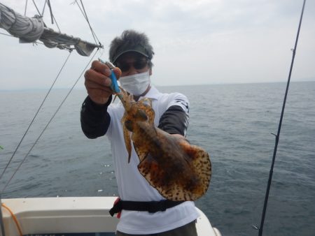 きずなまりん 釣果