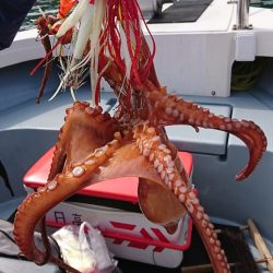 遊漁船　家入 釣果