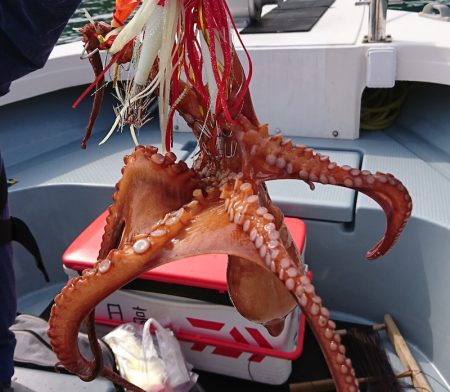 遊漁船　家入 釣果