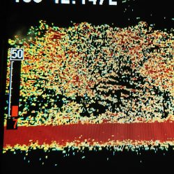 シースナイパー海龍 釣果