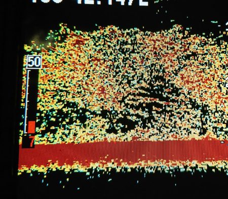 シースナイパー海龍 釣果