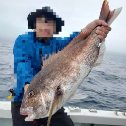 シーライオン 釣果