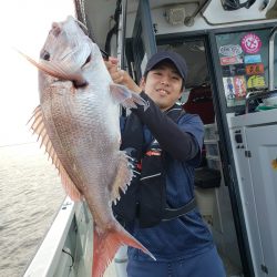 シーライオン 釣果