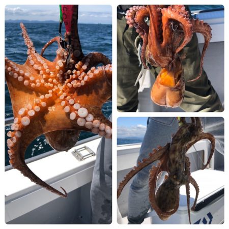 ビッグファイター 釣果