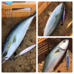 ビッグファイター 釣果