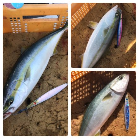 ビッグファイター 釣果