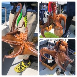 ビッグファイター 釣果