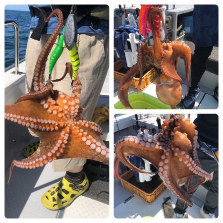 ビッグファイター 釣果