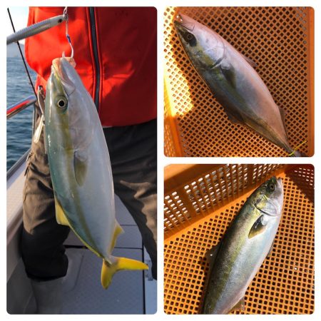 ビッグファイター 釣果