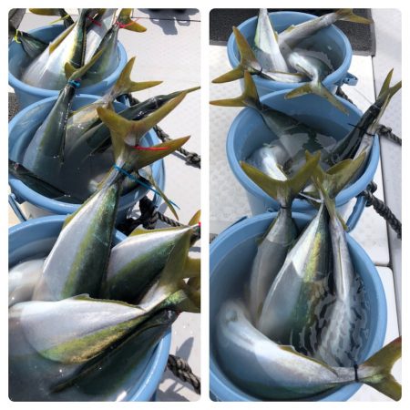 ビッグファイター 釣果