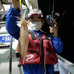 シーライオン 釣果