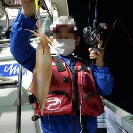 シーライオン 釣果