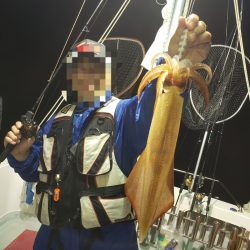 シーライオン 釣果