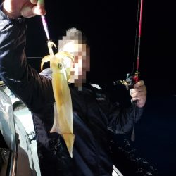 シーライオン 釣果