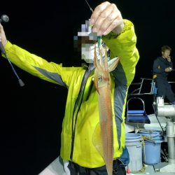 シーライオン 釣果