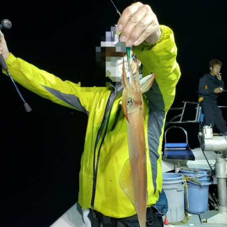 シーライオン 釣果